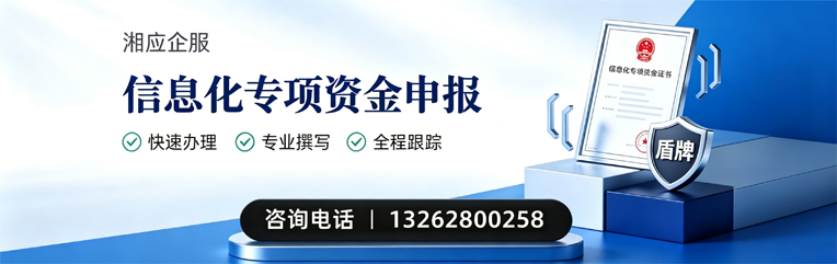 徐州信息化专项资金申报服务