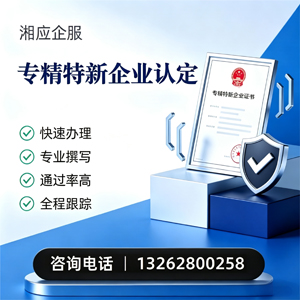 徐州专精特新企业申报服务