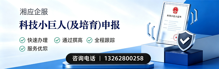 徐州科技小巨人及培育企业申报服务