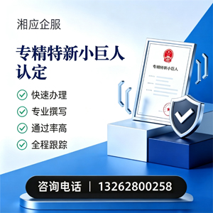 徐州专精特新小巨人申报服务