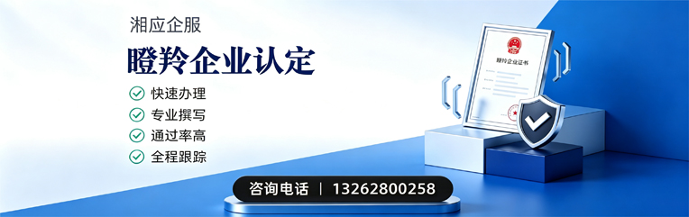 徐州瞪羚企业认定申报服务
