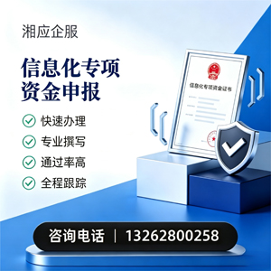 徐州信息化专项资金申报服务