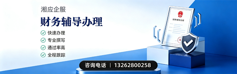 徐州财务辅导申请服务