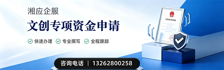 徐州文创专项资金申报服务
