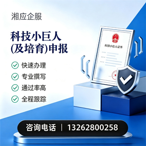 徐州科技小巨人及培育企业申报服务