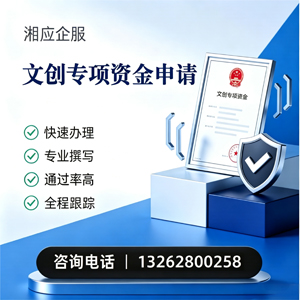 徐州文创专项资金申报服务
