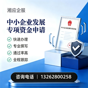徐州中小企业发展专项资金申报服务