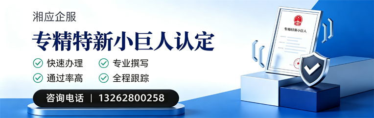 徐州专精特新小巨人申报服务